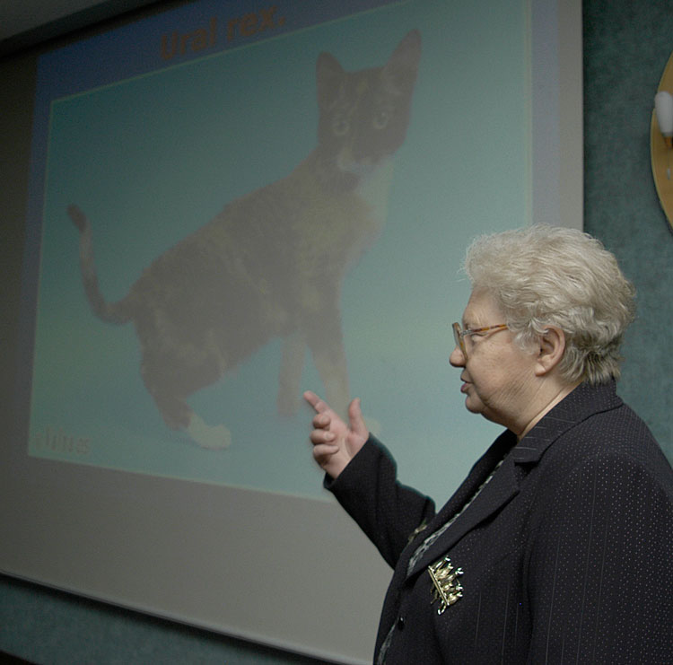Olga Mironova, WCF all-breed judge from Russia introduced one of the WCF’s newest breeds - the Ural Rex.