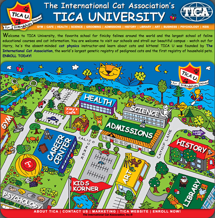 TICA U web site